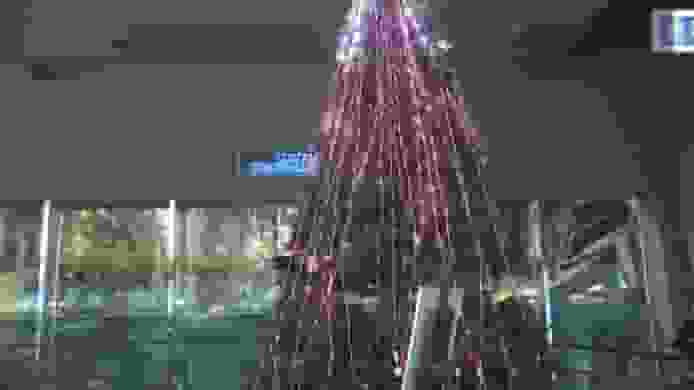 電鰻發電點亮 5 米高聖誕樹 日本鳥羽水族館 用 2,000 顆 LED 創意迎節日