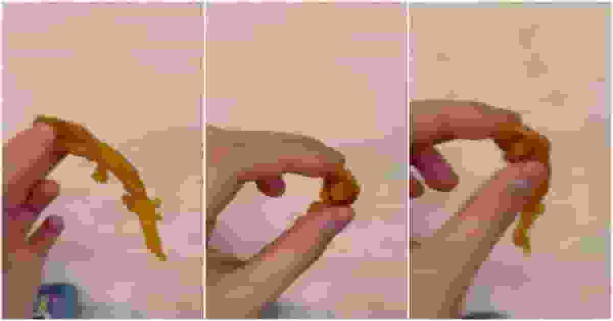 嗌外賣炸魷魚鬚到手變「走魷魚」 食客嬲爆投訴「空心版」:嚟咗個炸