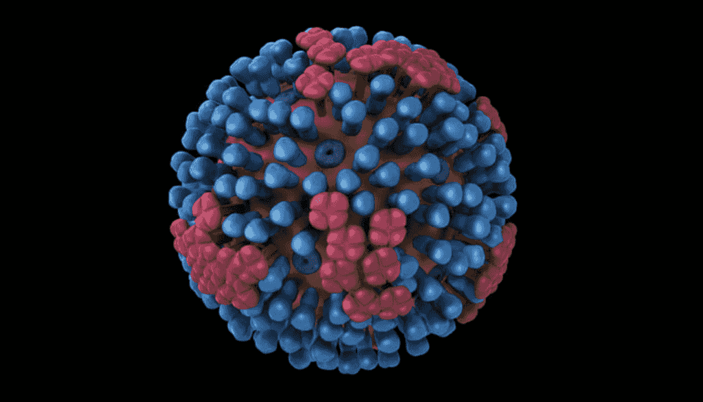 超級流感 | 全美累計750萬人染疫逾3100死 H3N2變種成主流
