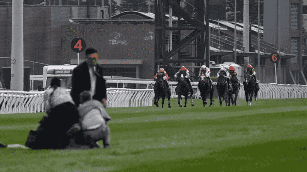 沙田賽馬期間中年漢闖賽道遭撳地制服 涉擾亂秩序行為被捕