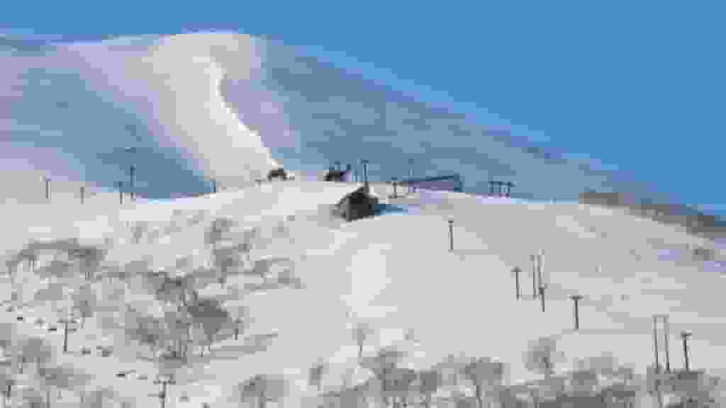 北海道滑雪|中國男女北海道闖禁區墮崖 受困5小時獲救無受傷