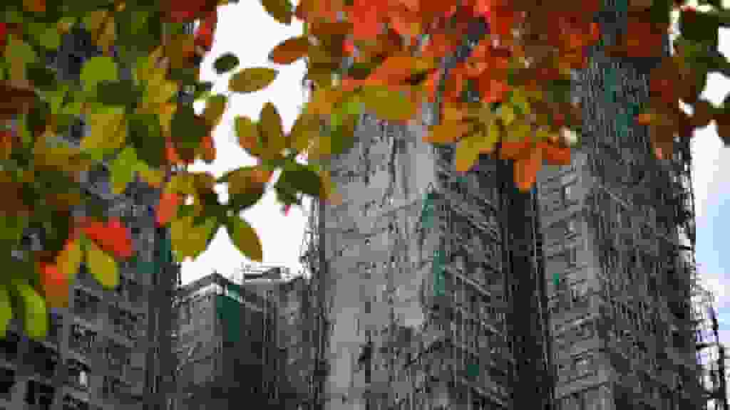 大埔宏福苑五級火|據悉當局聯絡過百戶家庭 周一起採集DNA助辨認遺體