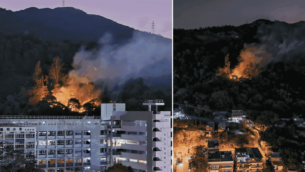 粉嶺華明邨對開畫眉山山火 火勢直逼民居九旬婦需消防助撤離