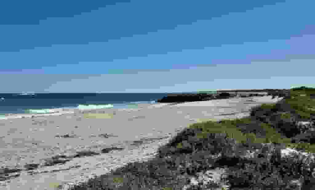 西澳海岸發現人頭遺骸 疑為元旦浮潛失蹤台男 附近多鯊魚出沒