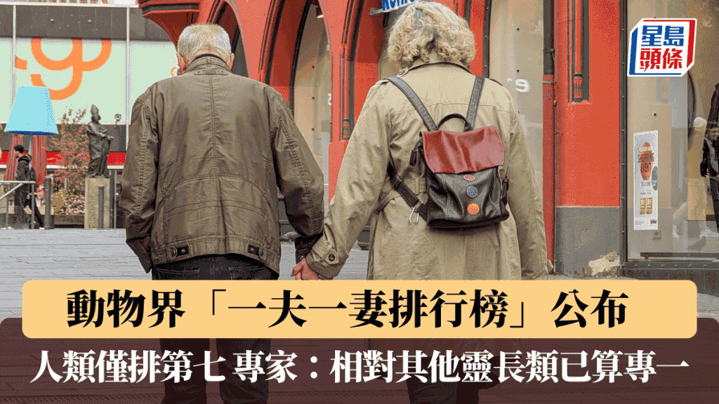 動物界「一夫一妻排行榜」公布 人類僅排第七 專家:相對其他靈長類已算專一