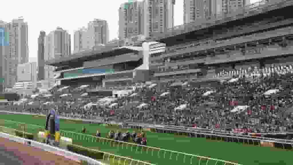 沙田馬場「好運1月1」賽馬日丁財兩旺 近5萬人次入場 全日投注額逾17億元