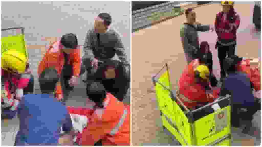 牛頭角彩德邨白貓咪墮樓慘死 女貓主痛哭流涕