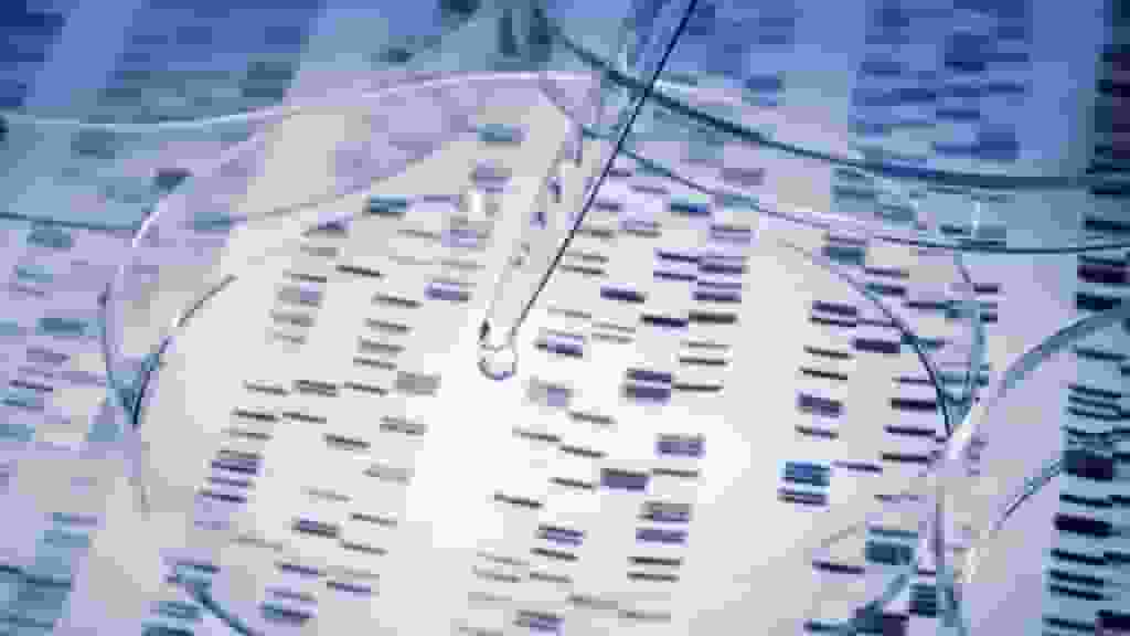 男子偽造DNA報告逃避百萬贍養費 認罪判入獄