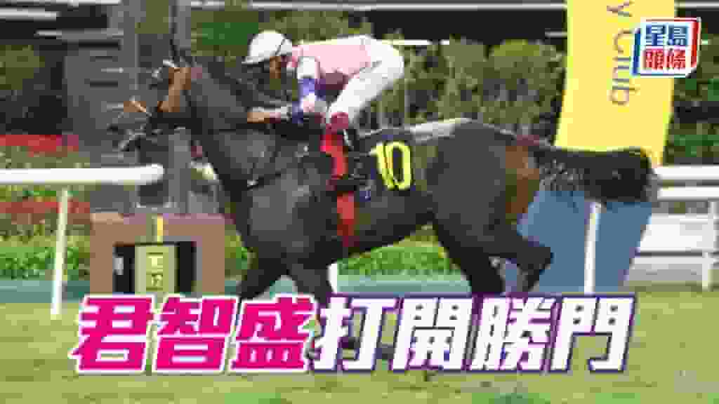 馬場密探048|「君智盛」打開勝門