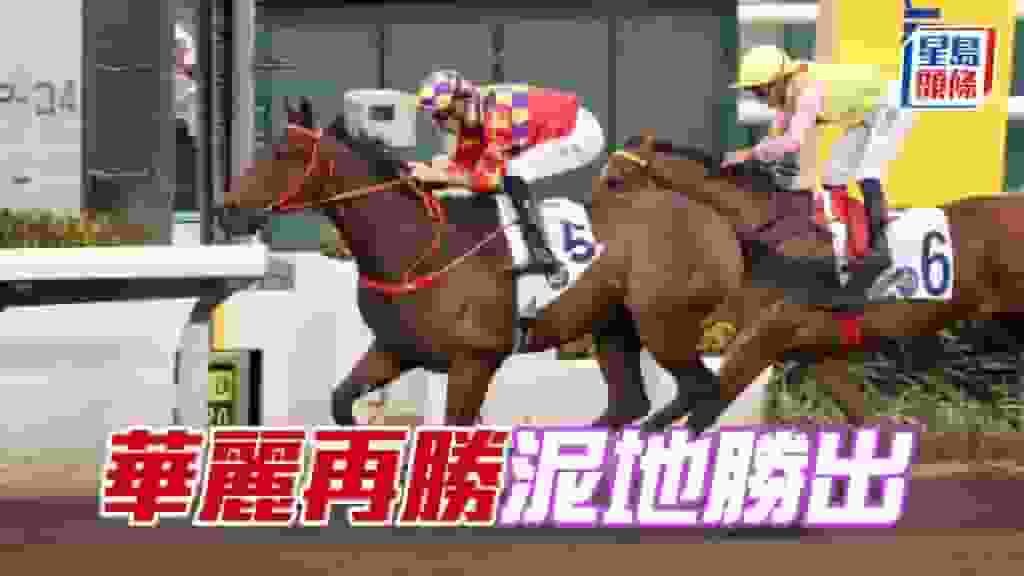 馬場密探048|「華麗再勝」泥地勝出