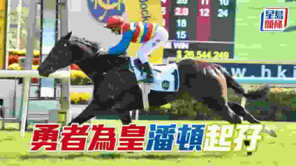 馬場密探048|「勇者為皇」潘頓起孖