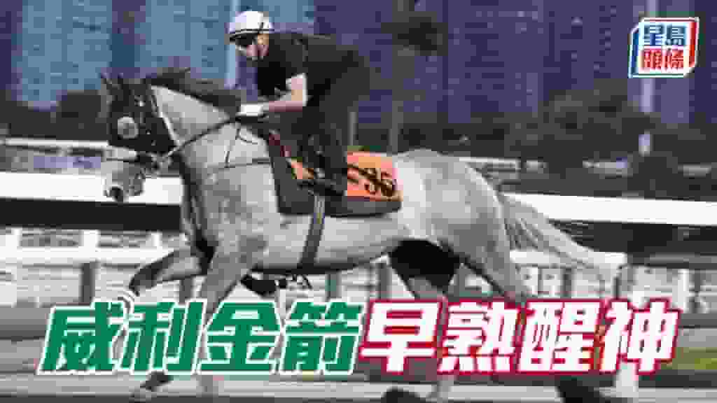 內圈捕影│「威利金箭」早熟醒神