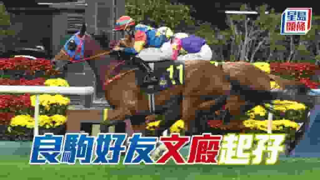 馬場密探048|「良駒好友」文廄起孖