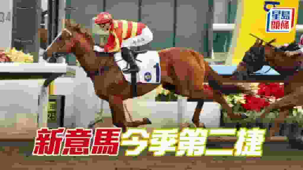 馬場密探048|「新意馬」今季第二捷