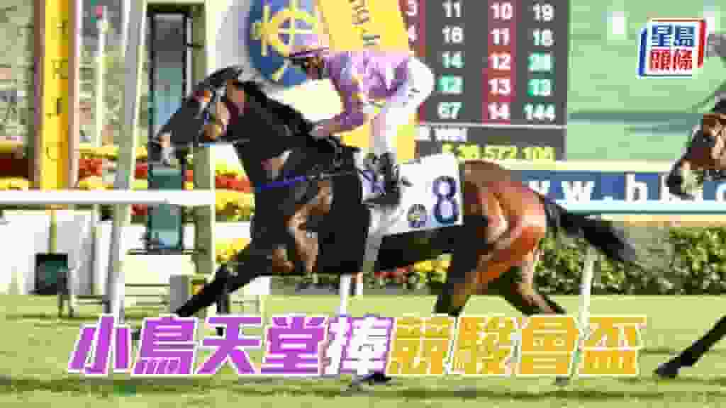 馬場密探048|「小鳥天堂」捧競駿會盃