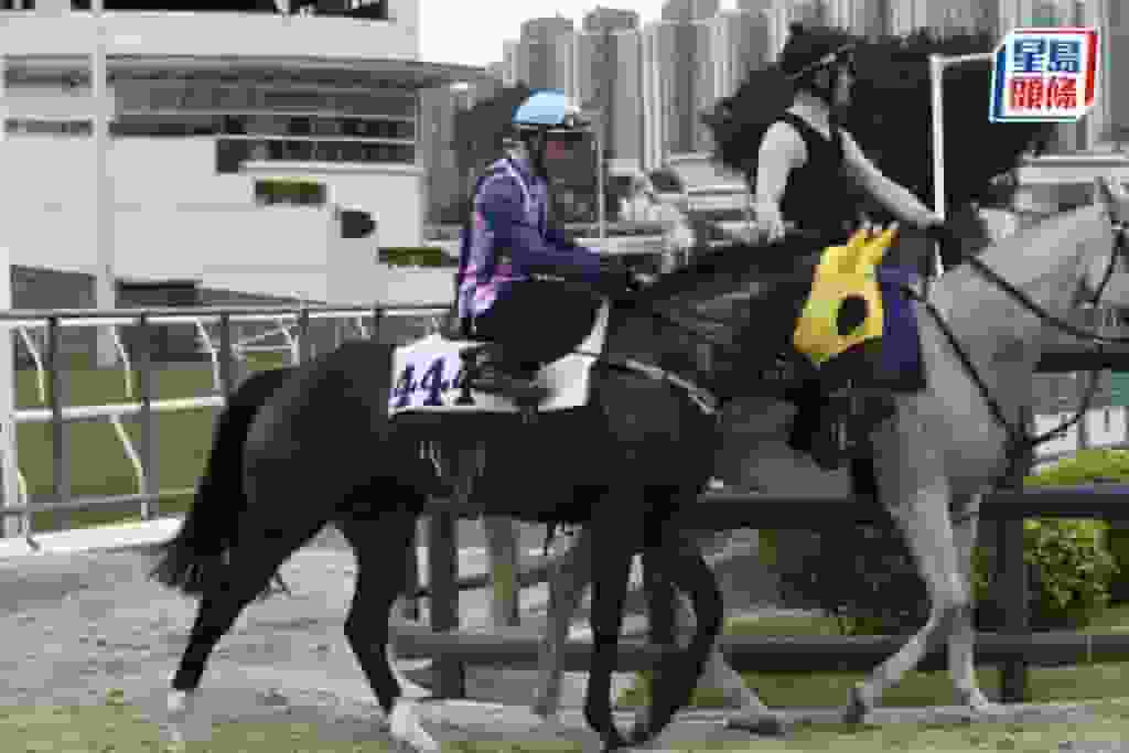 內圈捕影│「客家之光」步順輕快