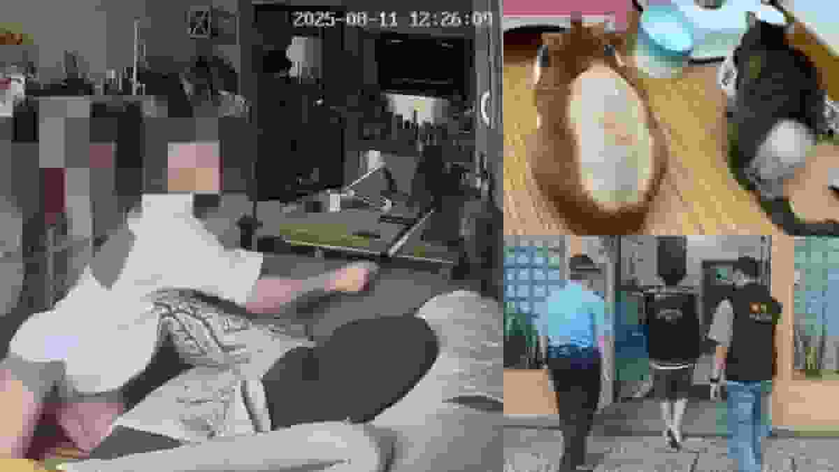 天眼直擊|恐怖情人闖女友住所連環虐貓 澳門30歲男落網 聲稱不滿波鞋被咬破