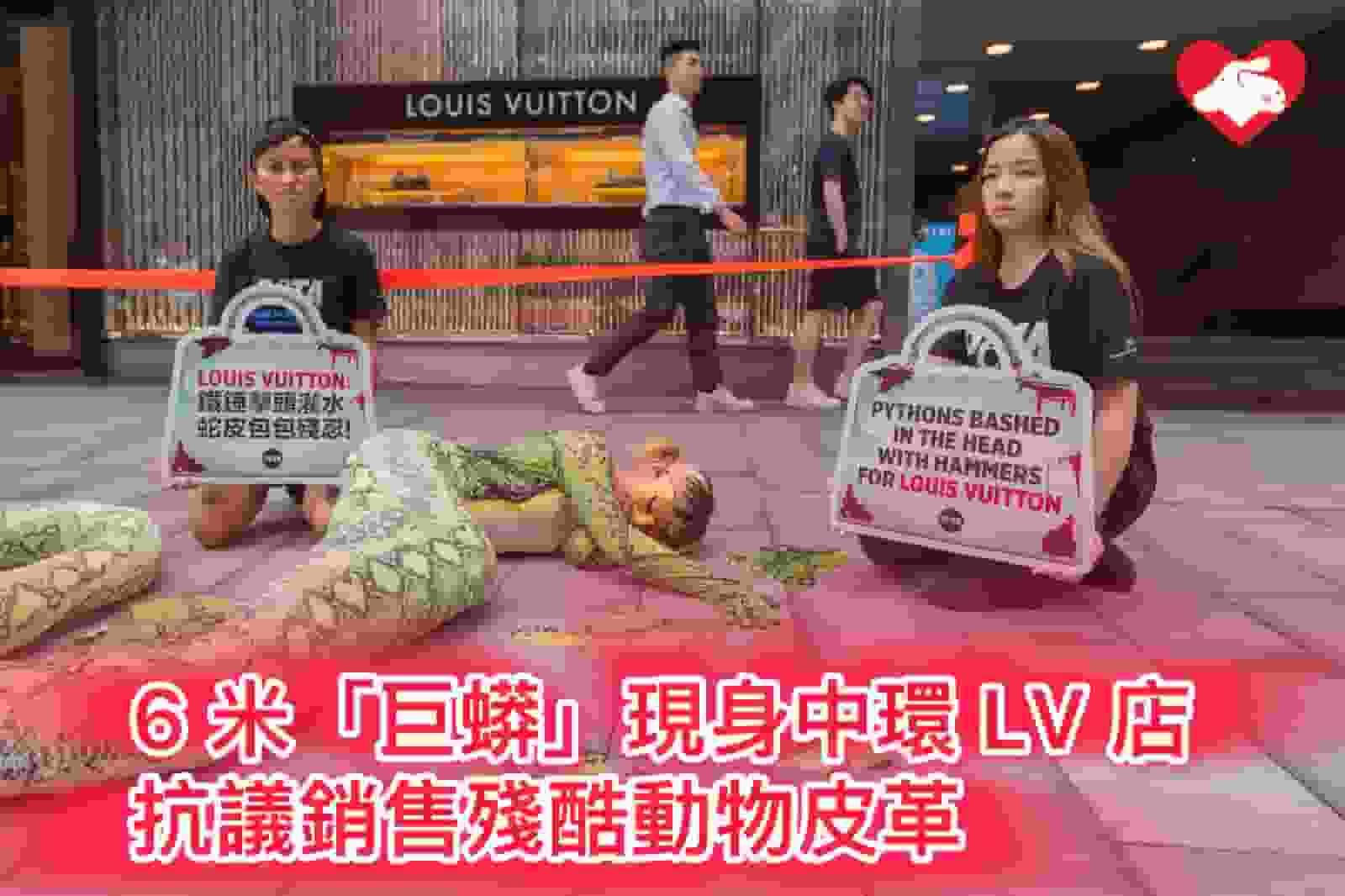 6米「巨蟒」現身中環LV店 抗議銷售殘酷動物皮革