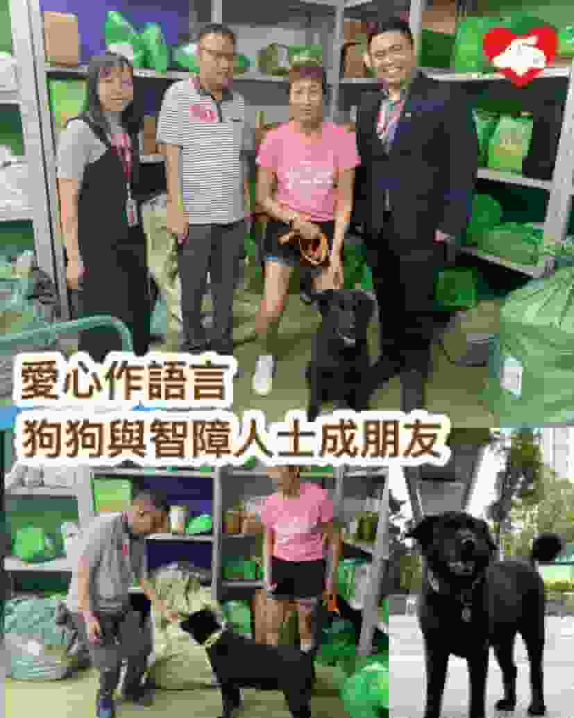 愛心作語言無歧視無距離 狗狗與智障人士成朋友