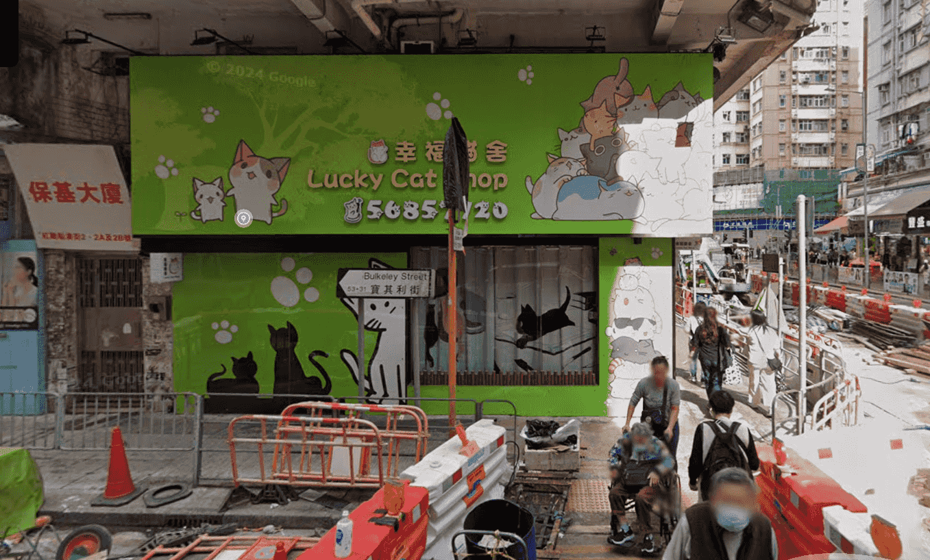 紅磡寵物店東主涉「以貓抵債」 偷客人35隻貓交財務公司(更新)