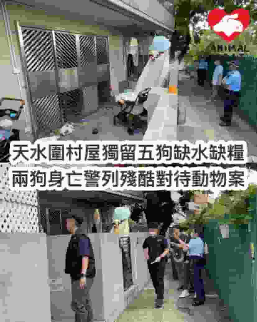 天水圍村屋獨留五狗缺水缺糧 兩狗身亡警列殘酷對待動物案