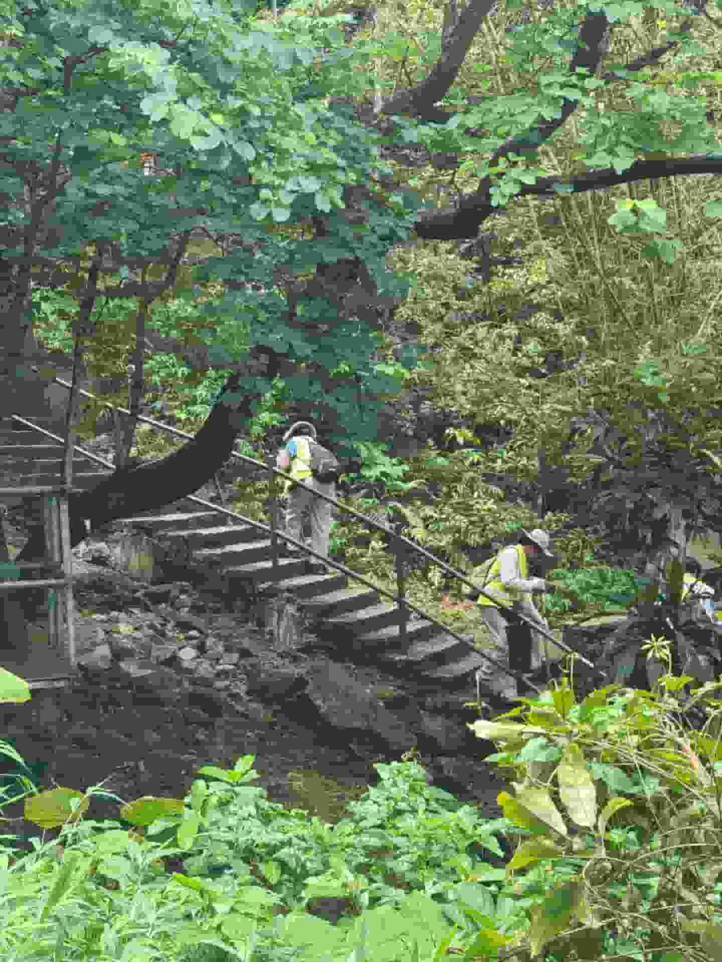 網民組團飛鵝山執垃圾「十個八個避孕套走唔甩」 揭清潔工掃垃圾落山坡 食環署：承辦商失責︱Yahoo
