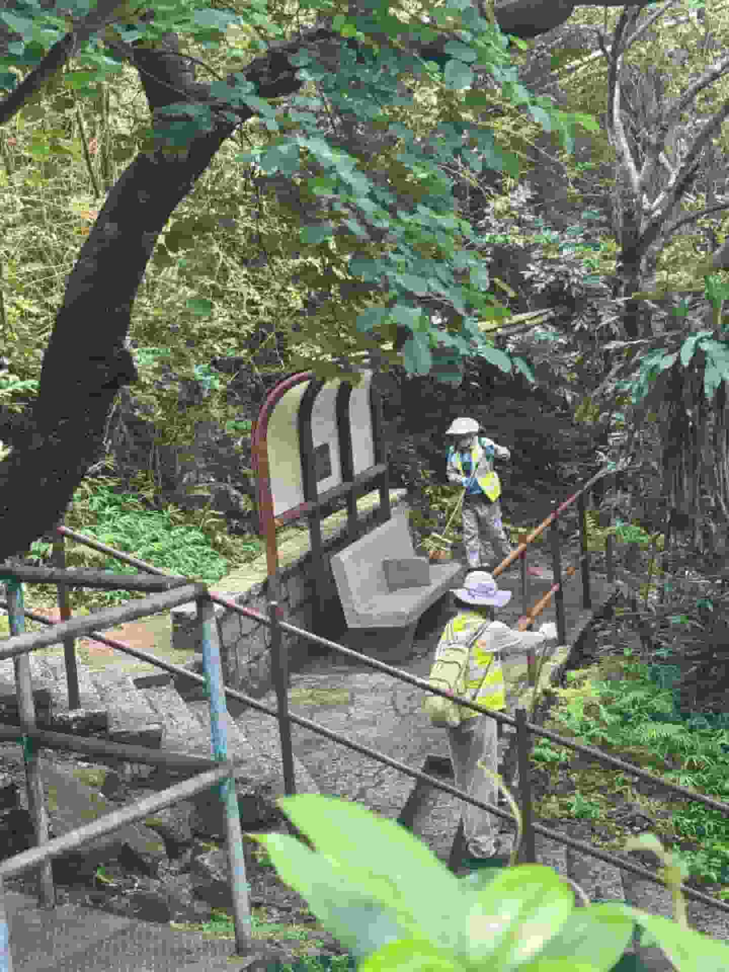 網民組團飛鵝山執垃圾「十個八個避孕套走唔甩」 揭清潔工掃垃圾落山坡 食環署：承辦商失責︱Yahoo