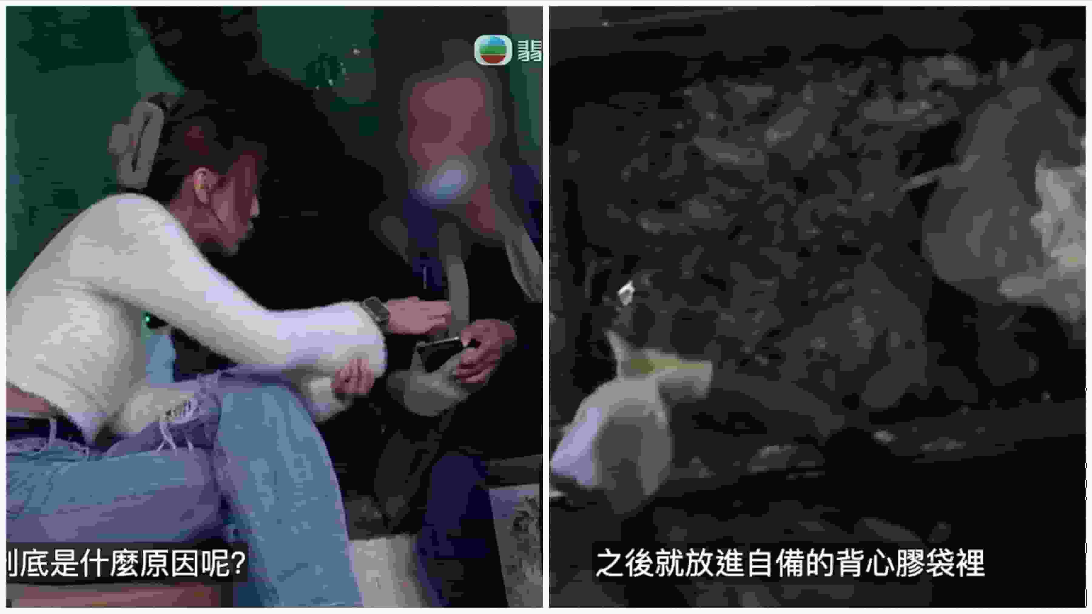 東張西望|陳伯垃圾桶執臭魚擺檔賤價賣 過程嘔心受訪爆有苦衷