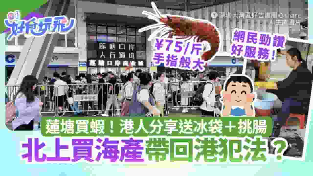 啟德體育園主場館最新座位表 演唱會、賽事劃位攻略|附交通攻略