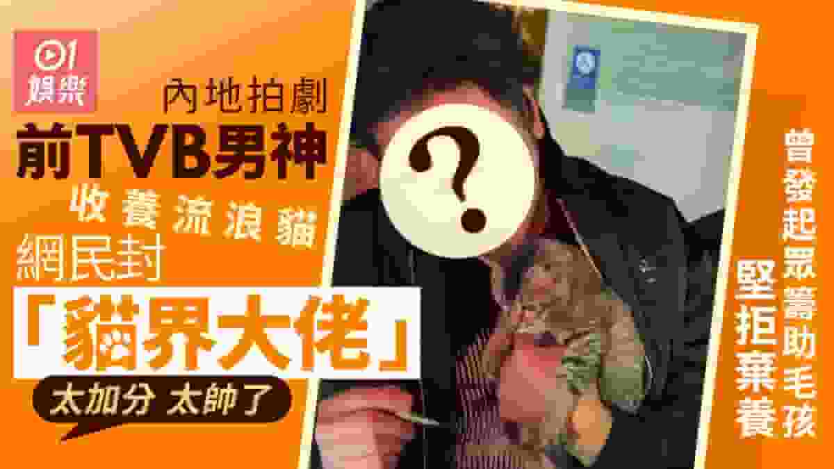 吳卓羲內地拍劇收養流浪貓 一細節獲讚:果然有愛心的人都帥