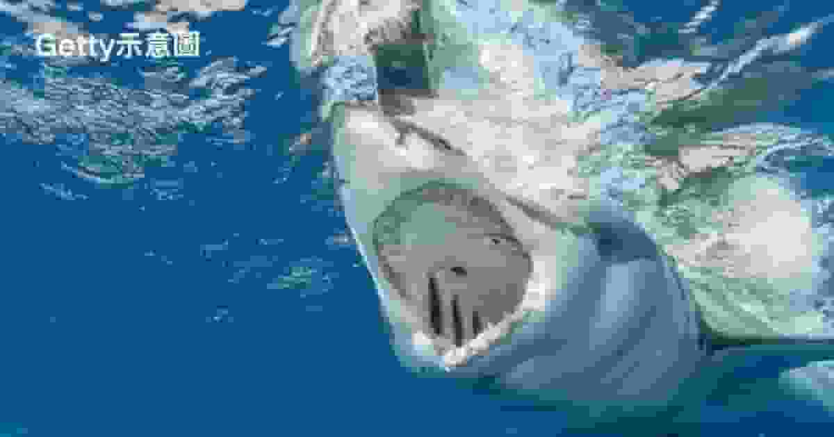 美婦海灘戲水疑遭鯊魚襲擊失手臂 送院搶救不治 目擊者:海面全是血