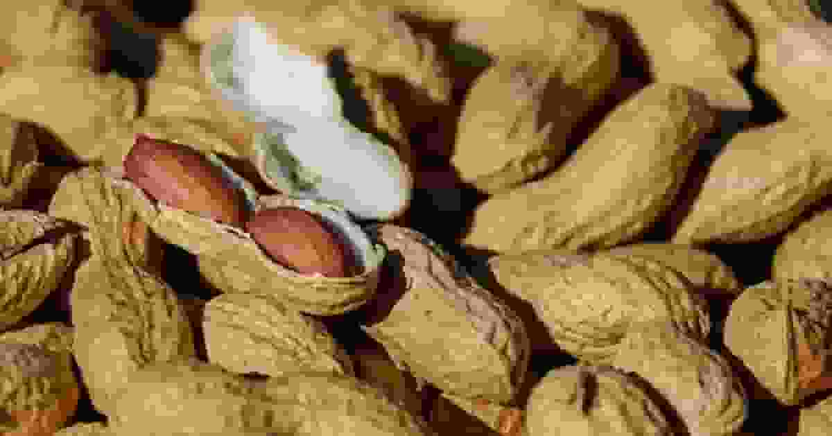 抗老不只靠運動 英研究揭每日吃花生或有助延緩細胞老化