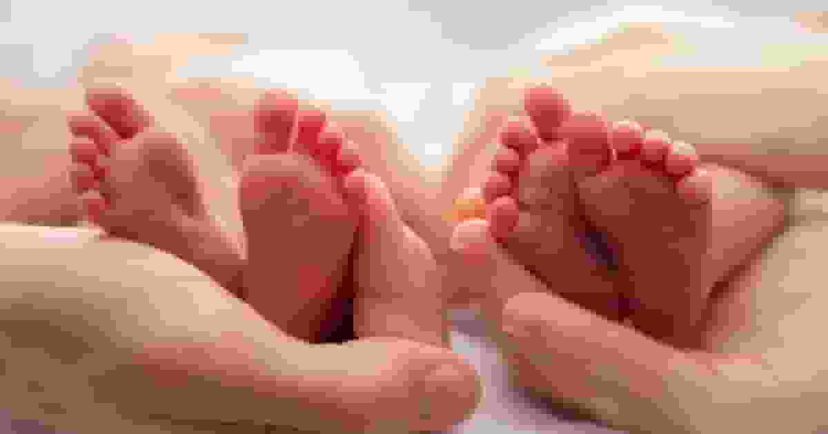 最新研究:嬰兒2個月大就能分辨貓與傢俱 大腦活動揭認知發展提前