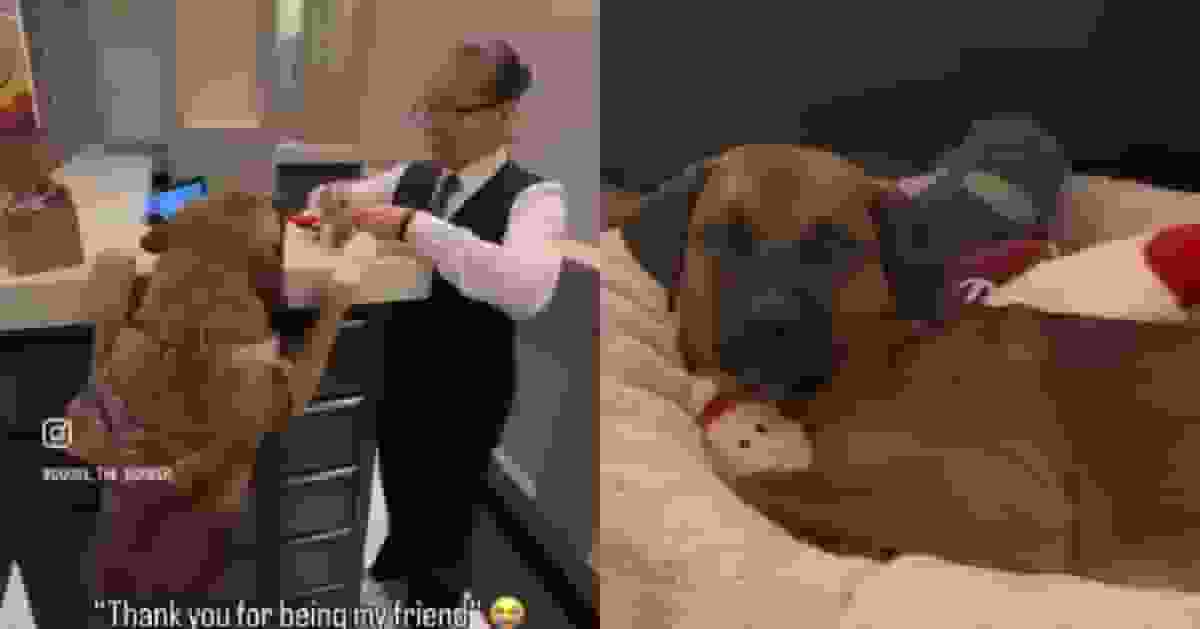 牧羊犬散步收到聖誕公仔 飼主回禮感謝公寓管理員意外促成暖心情誼