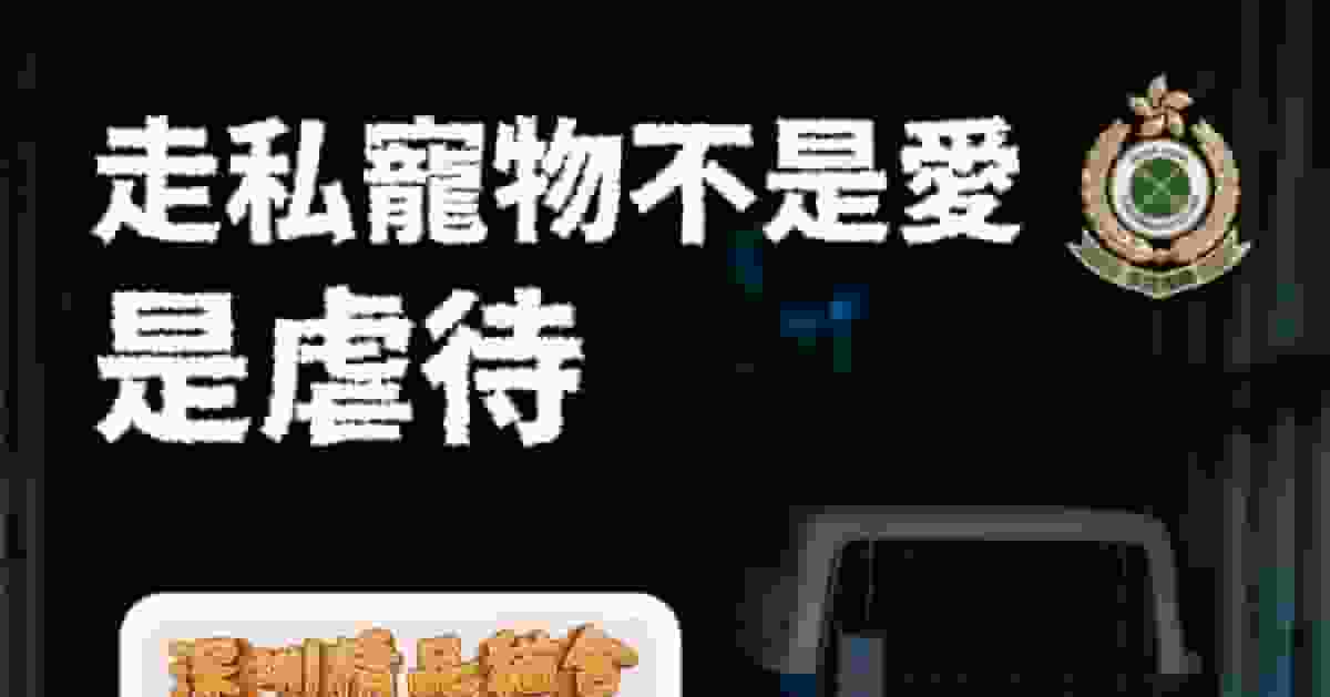 海關呼籲勿助長走私寵物 警告內地購猫狗等同虐待動物