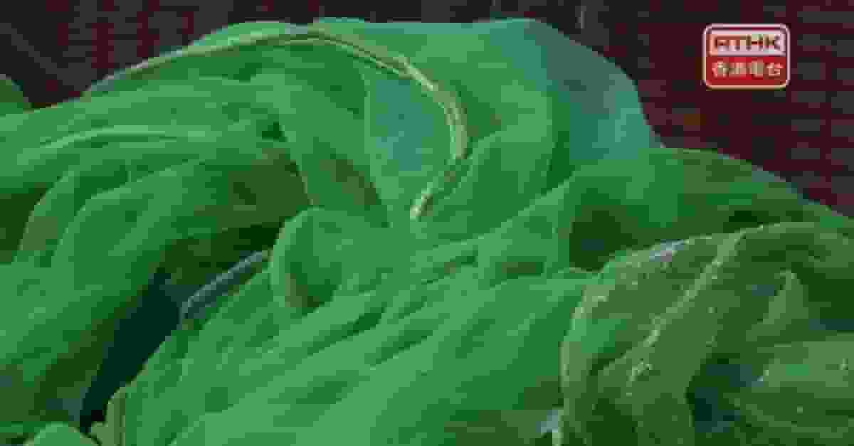 宏福苑五級火|建造業議會集體採購及檢測 約一個月首批棚網上架