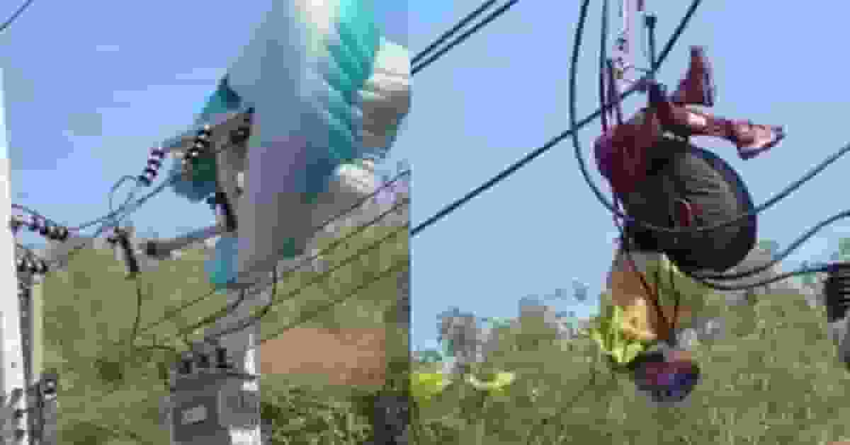 美遊客赴泰玩滑翔傘受困高壓電線桿 當局停電近1小時救援助安全脫險