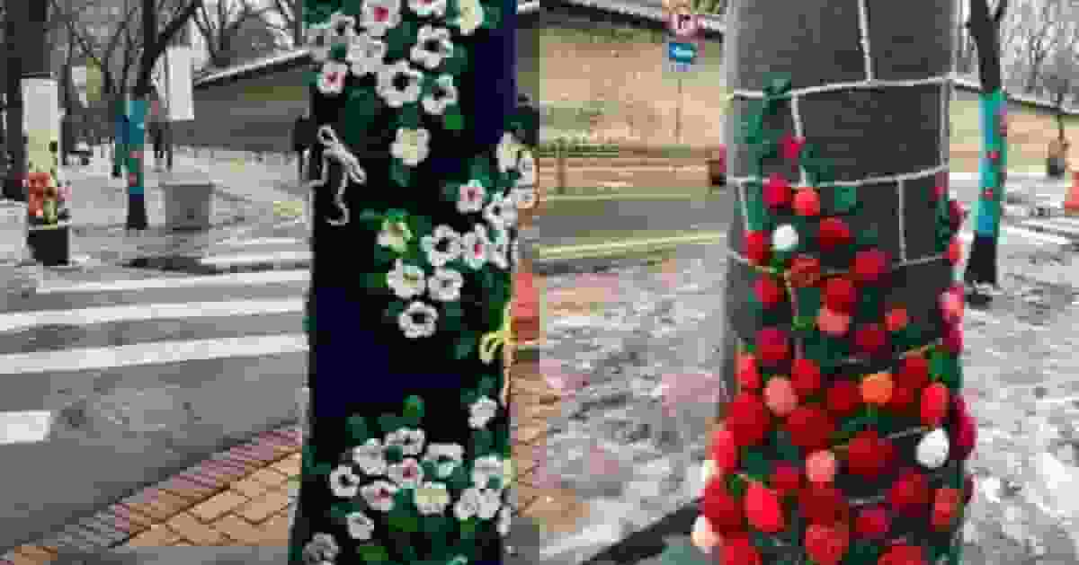 美觀防寒又防蟲!南韓街頭樹木著「針織外衣」成冬日療愈風景