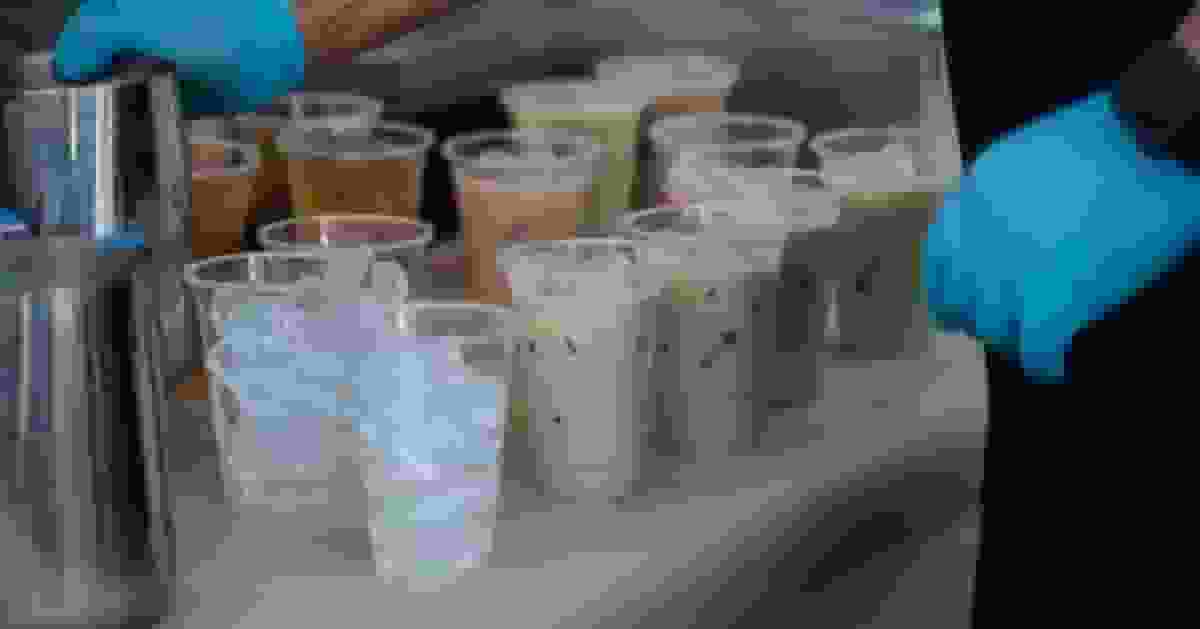 重新定義咖啡甜度!泰國力推健康飲 「正常甜等於半糖」