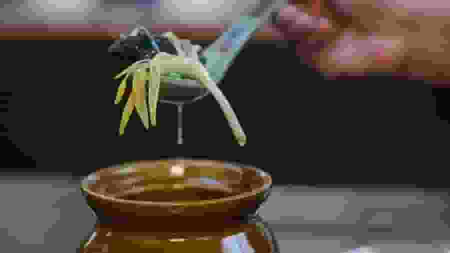 深圳食野味|一家4口喝「養生湯」中毒 全都肝功能受損