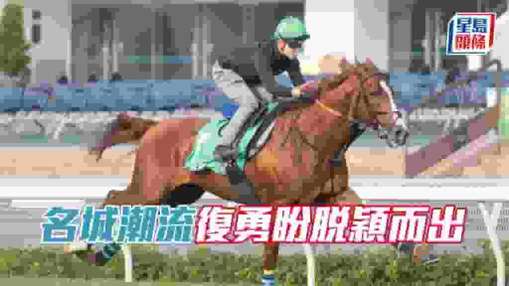 浪琴香港國際賽事│浪琴香港瓶形勢緊湊「名城潮流」復勇盼脫穎而出