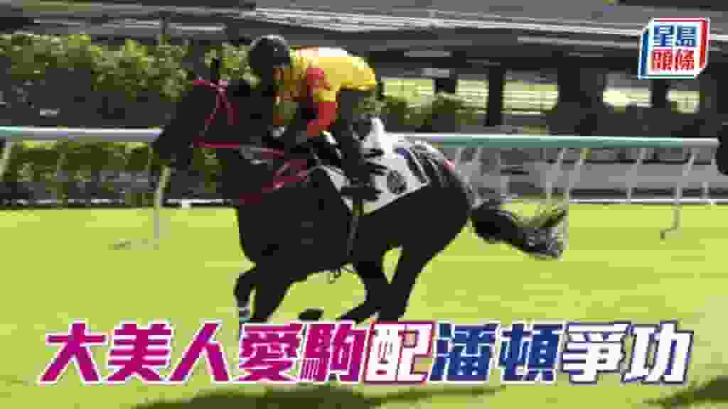 潘頓周三晚為李嘉欣愛駒効力