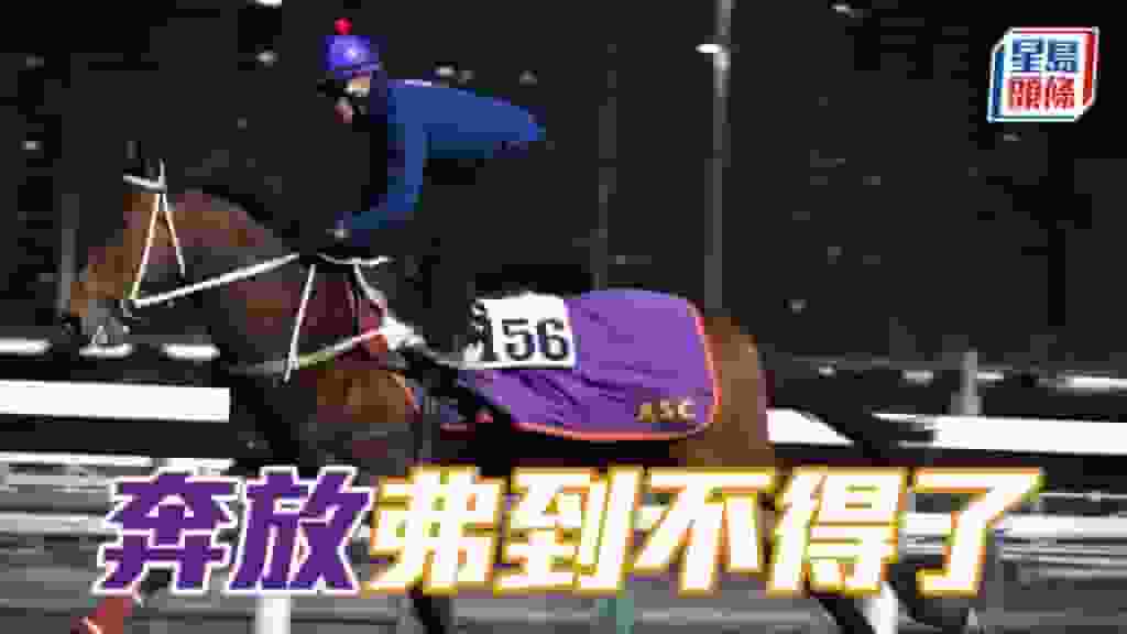 晨光追擊│「奔放」弗到不得了