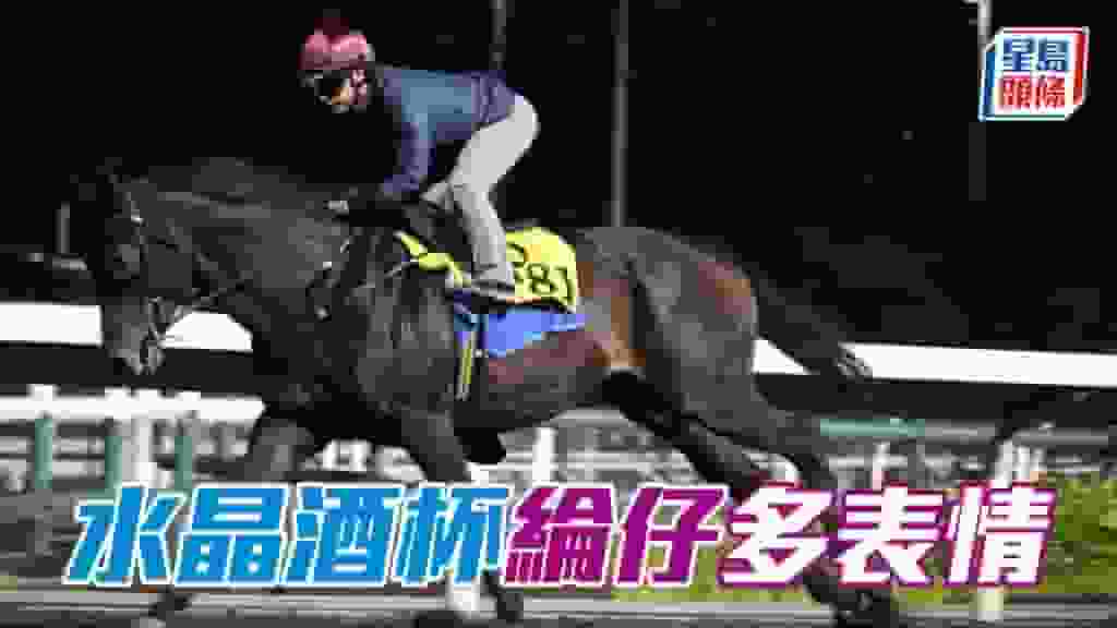 沙田早晨│「水晶酒杯」綸仔多表情