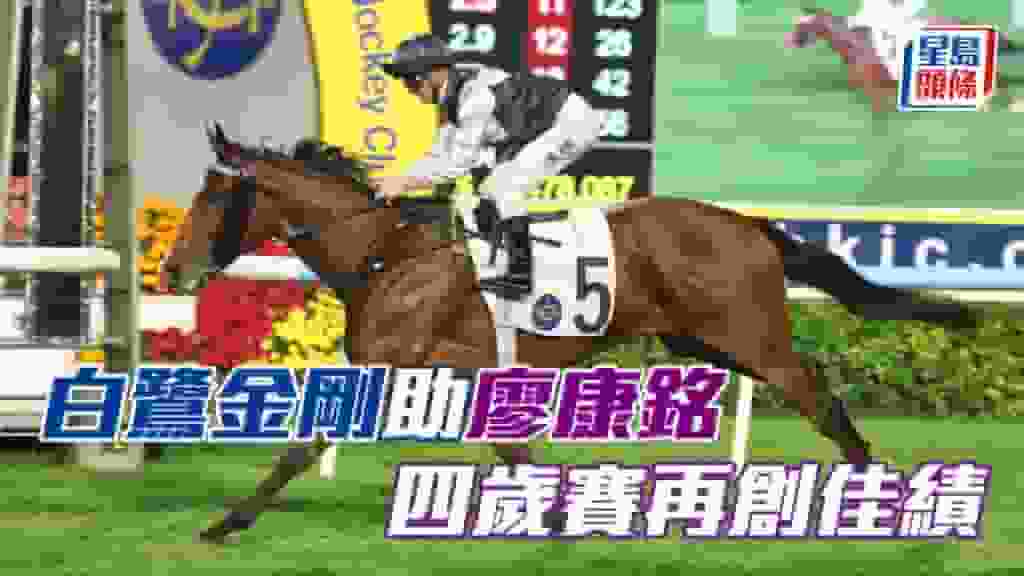 香港打吡大賽│打吡之路:「白鷺金剛」潛質優厚有力助廖康銘在四歲馬經典賽事系列再創佳績