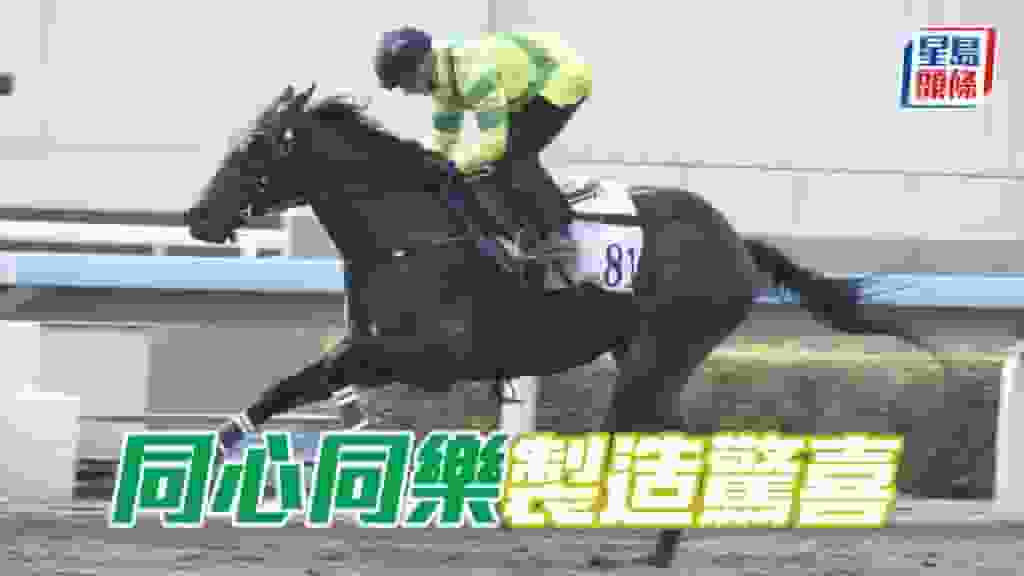 Dickson心水│「哥倫布」強組精品