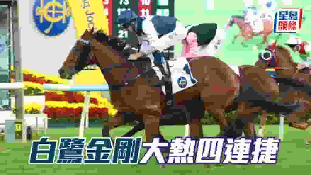 馬場密探048|「白鷺金剛」大熱四連捷